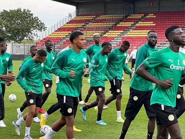 Match amical : Dernière séance d’entraînement des Lions