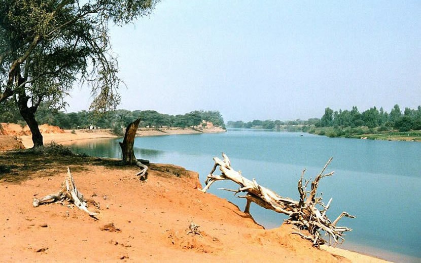 Débordement fleuve Sénégal : 84 hectares de riz inondés, 450 tonnes de Paddy en ruines