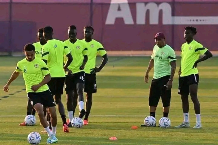 Qatar 2022 : Première séance d’entraînement après le match contre le Pays-Bas