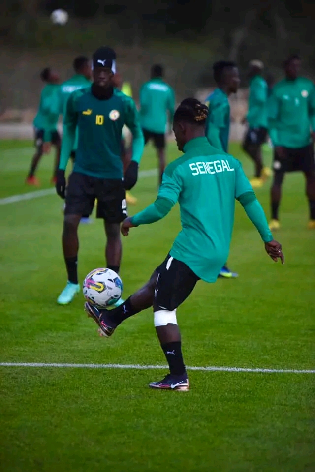 CHAN 2023 : Première séance d’entraînement des lions à Tabarka