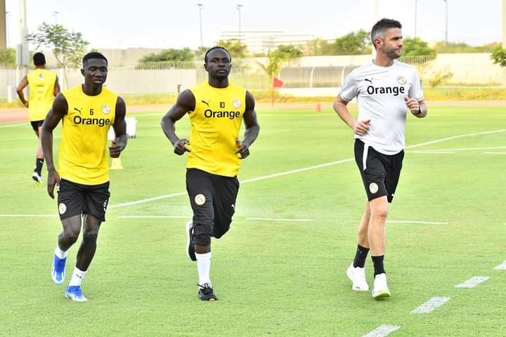 Éliminatoires mondial : Première séance d’entraînement des Lions