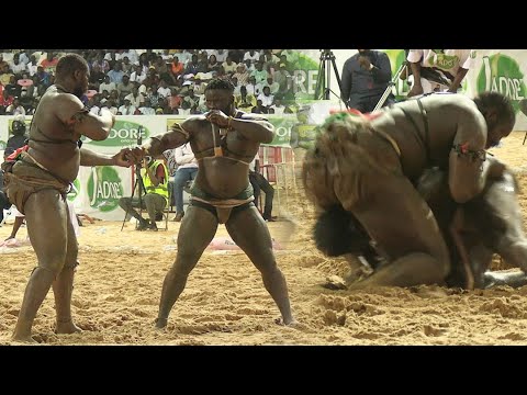 Lutte sénégalaise : Tapha Tine terrasse Eumeu Sène