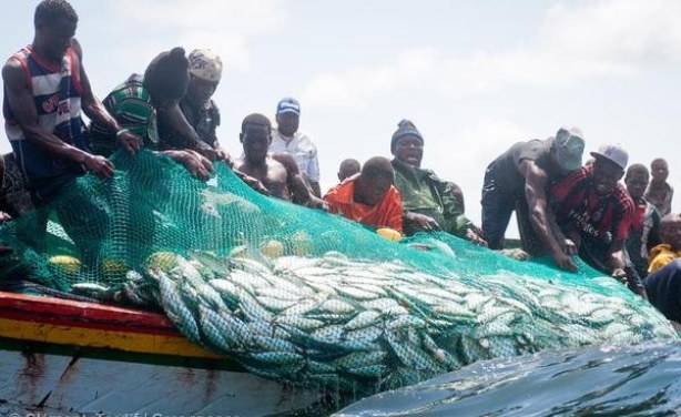 Pêche : La Mauritanie accorde 500 licences au Sénégal