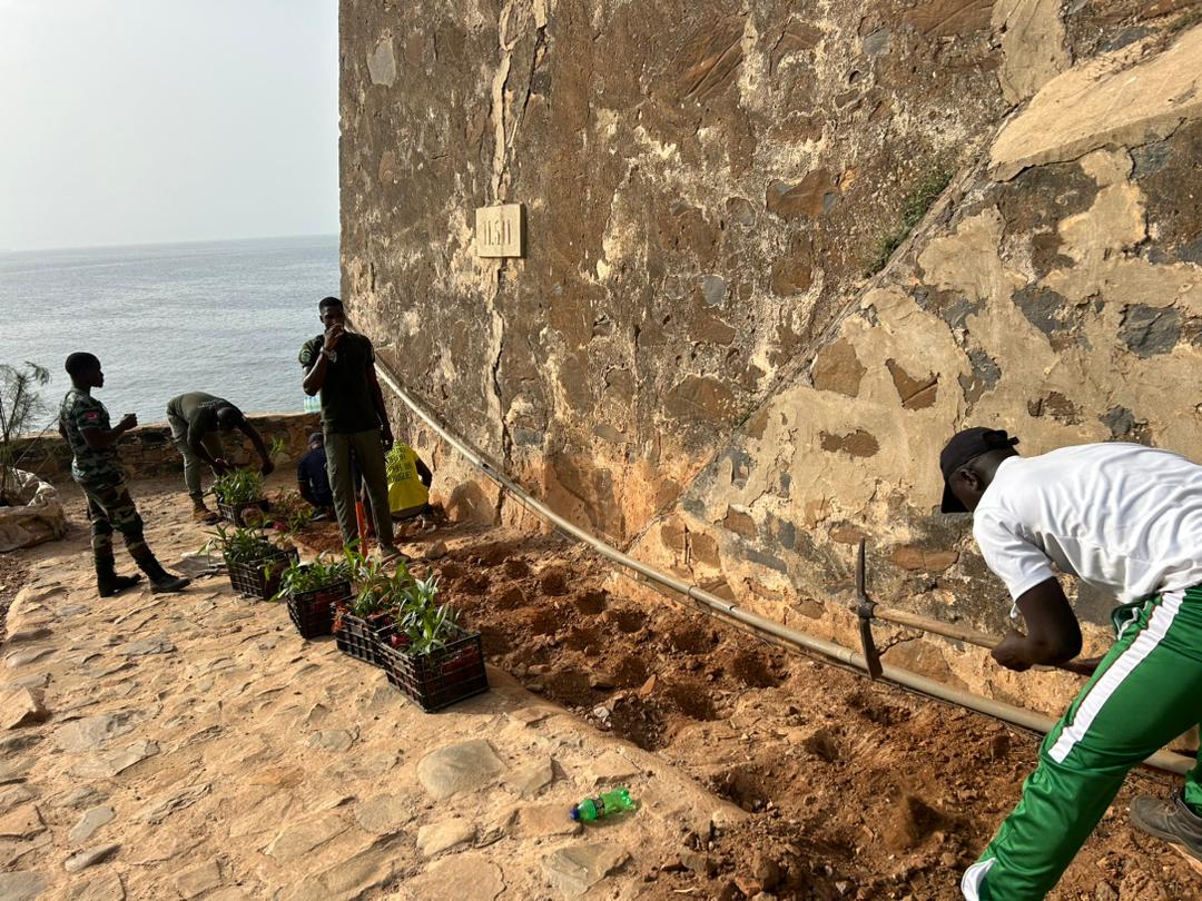 Journée de reboisement sur l’île de Gorée au niveau du nouveau sentier naturel du Castel