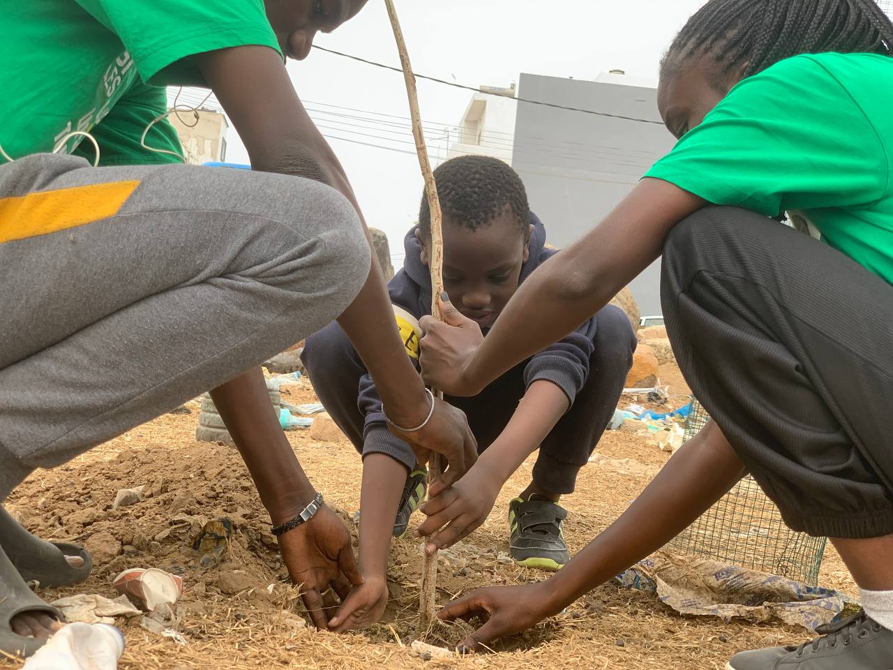 Journée de Reboisement participatif sur l’île de Gorée, ce vendredi à partir de 8H